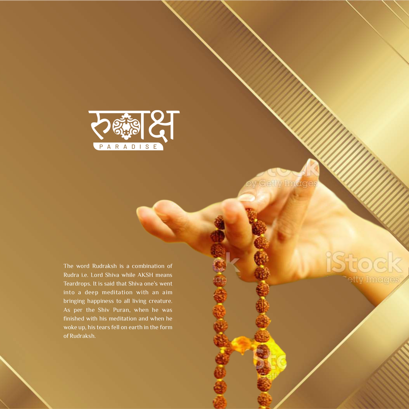 Rudraksh_Brochure_June_6019_(2)_page-0003[1]